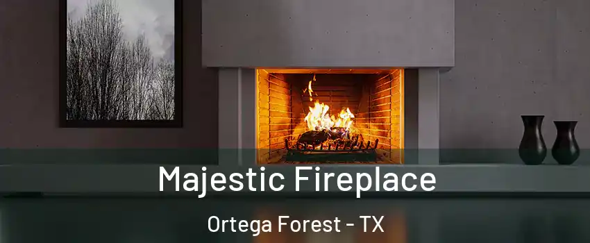 Majestic Fireplace Ortega Forest - TX