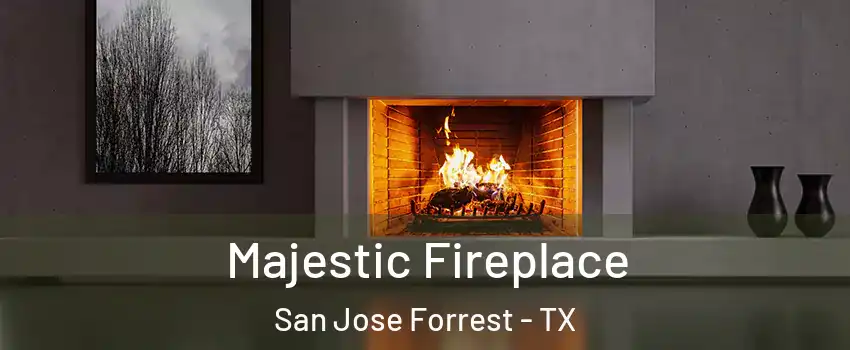 Majestic Fireplace San Jose Forrest - TX