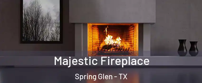 Majestic Fireplace Spring Glen - TX