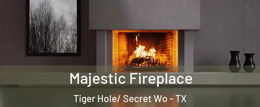 Majestic Fireplace Tiger Hole/ Secret Wo - TX