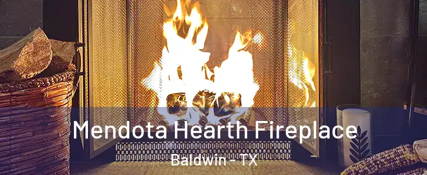 Mendota Hearth Fireplace Baldwin - TX