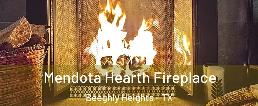 Mendota Hearth Fireplace Beeghly Heights - TX