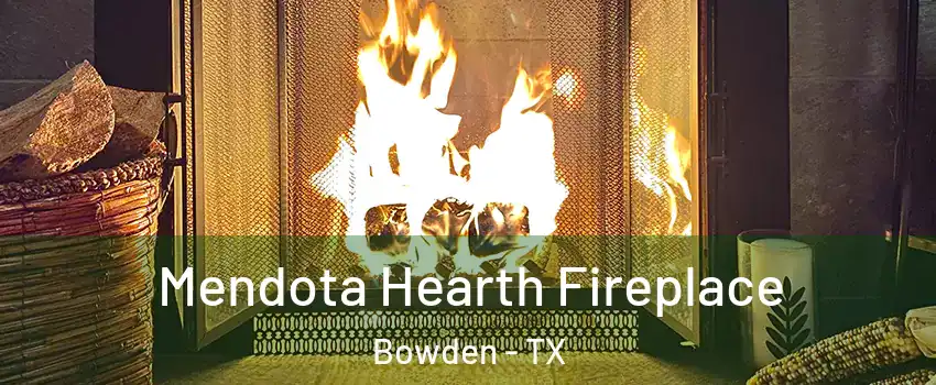 Mendota Hearth Fireplace Bowden - TX