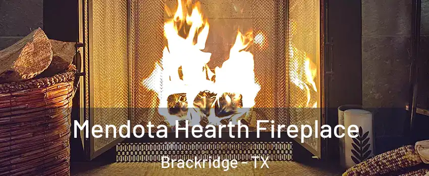 Mendota Hearth Fireplace Brackridge - TX