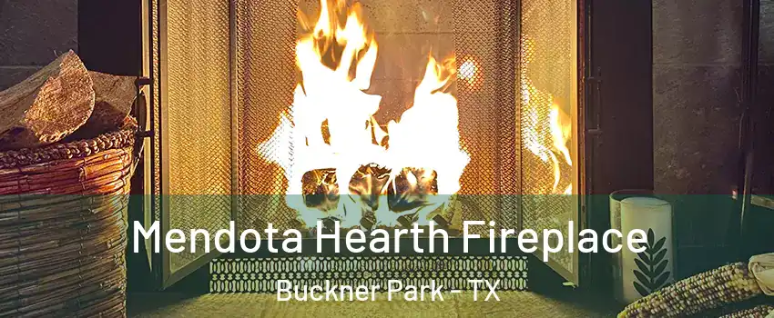 Mendota Hearth Fireplace Buckner Park - TX