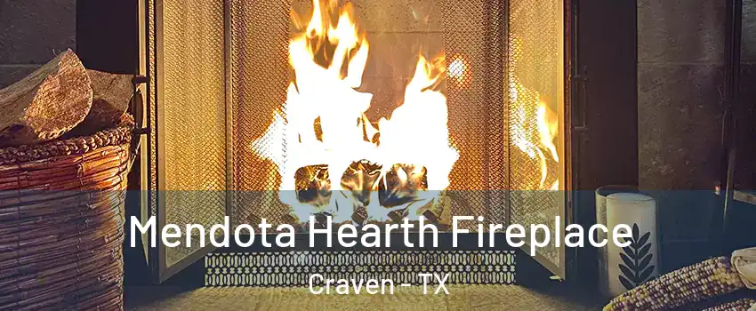 Mendota Hearth Fireplace Craven - TX