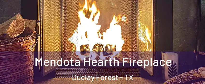 Mendota Hearth Fireplace Duclay Forest - TX
