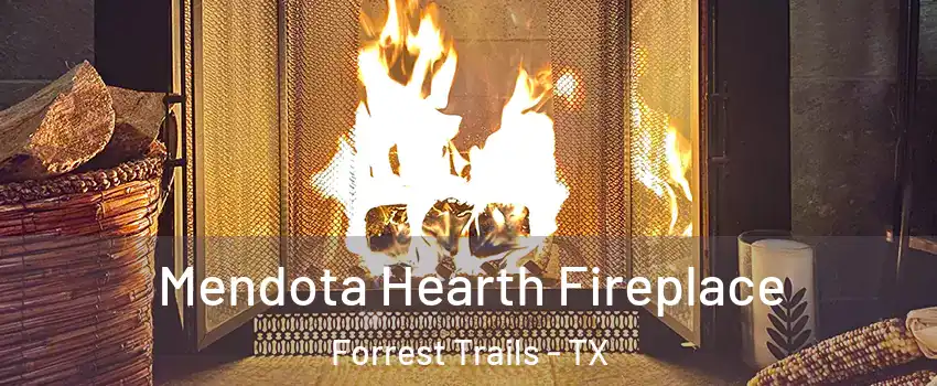Mendota Hearth Fireplace Forrest Trails - TX