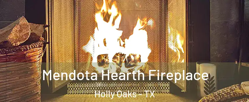 Mendota Hearth Fireplace Holly Oaks - TX