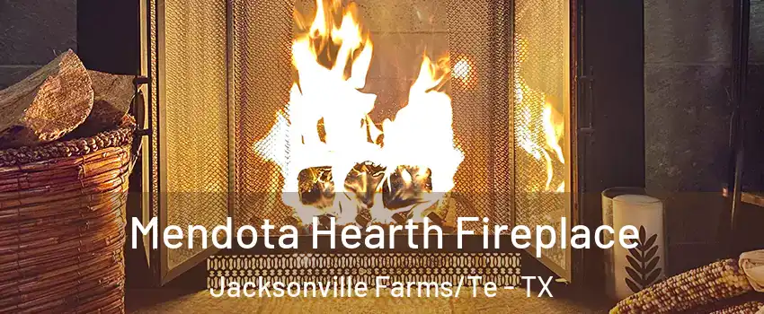 Mendota Hearth Fireplace Jacksonville Farms/Te - TX