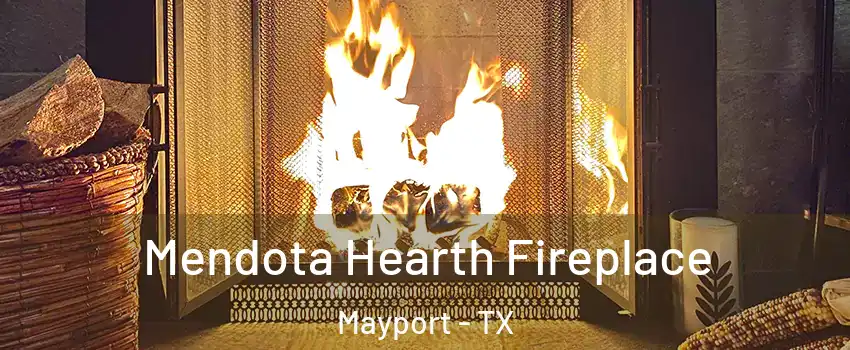 Mendota Hearth Fireplace Mayport - TX
