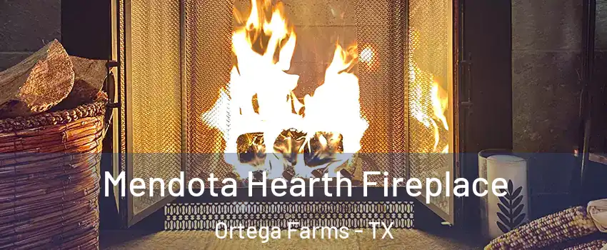Mendota Hearth Fireplace Ortega Farms - TX