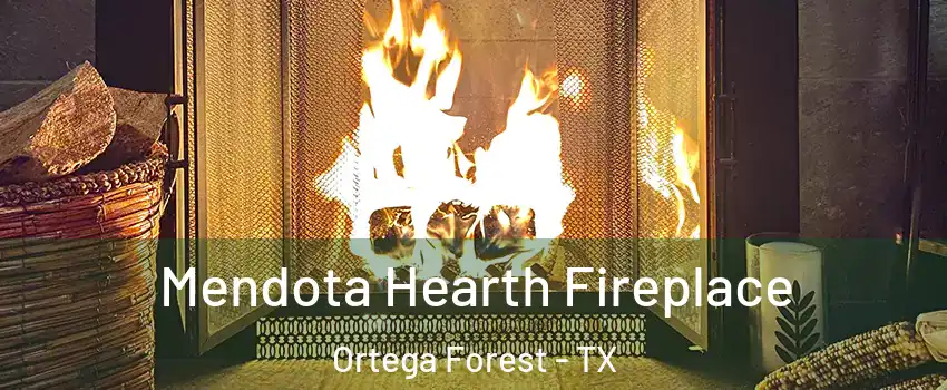 Mendota Hearth Fireplace Ortega Forest - TX