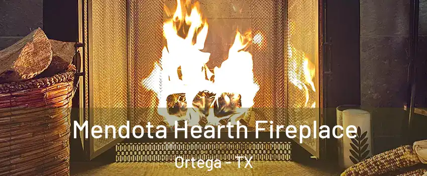 Mendota Hearth Fireplace Ortega - TX