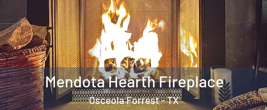 Mendota Hearth Fireplace Osceola Forrest - TX