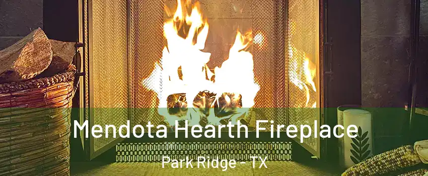 Mendota Hearth Fireplace Park Ridge - TX