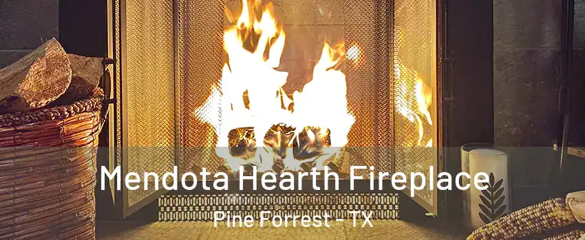 Mendota Hearth Fireplace Pine Forrest - TX