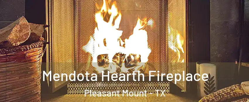 Mendota Hearth Fireplace Pleasant Mount - TX