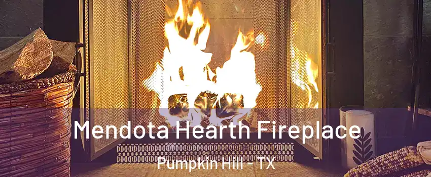 Mendota Hearth Fireplace Pumpkin Hill - TX