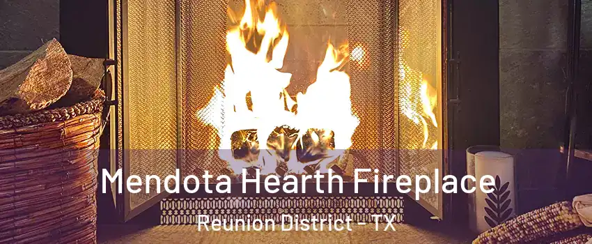 Mendota Hearth Fireplace Reunion District - TX