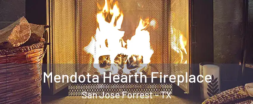 Mendota Hearth Fireplace San Jose Forrest - TX