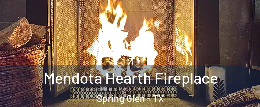 Mendota Hearth Fireplace Spring Glen - TX