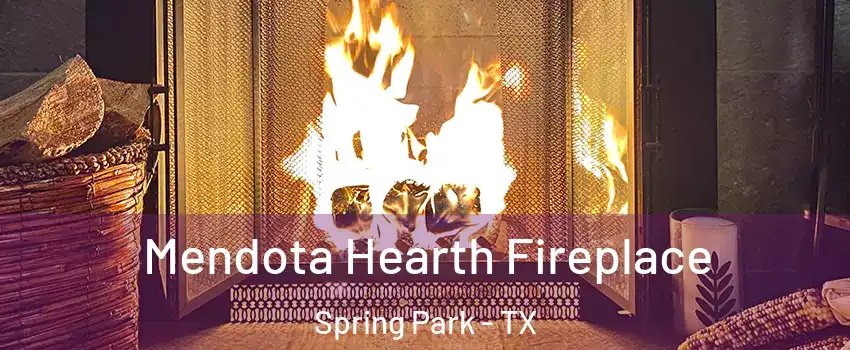 Mendota Hearth Fireplace Spring Park - TX