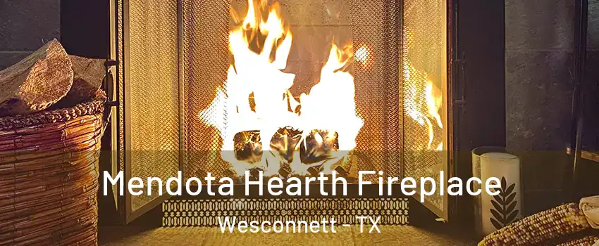 Mendota Hearth Fireplace Wesconnett - TX