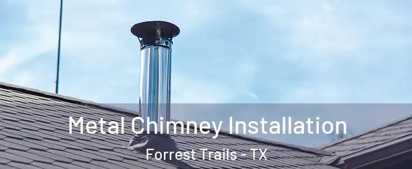 Metal Chimney Installation Forrest Trails - TX