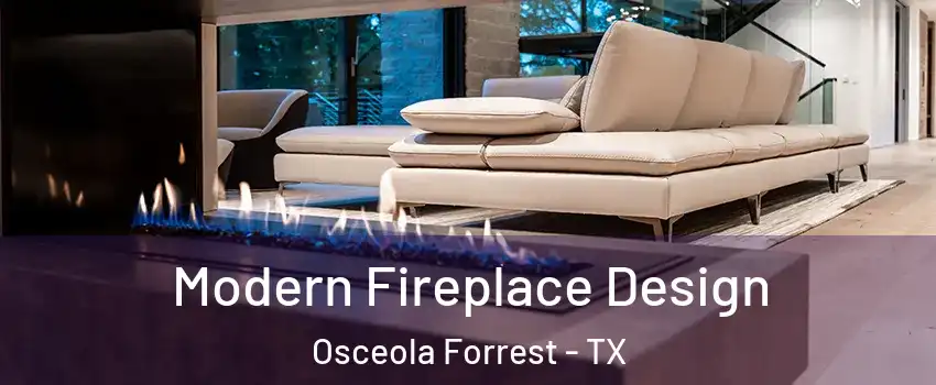 Modern Fireplace Design Osceola Forrest - TX
