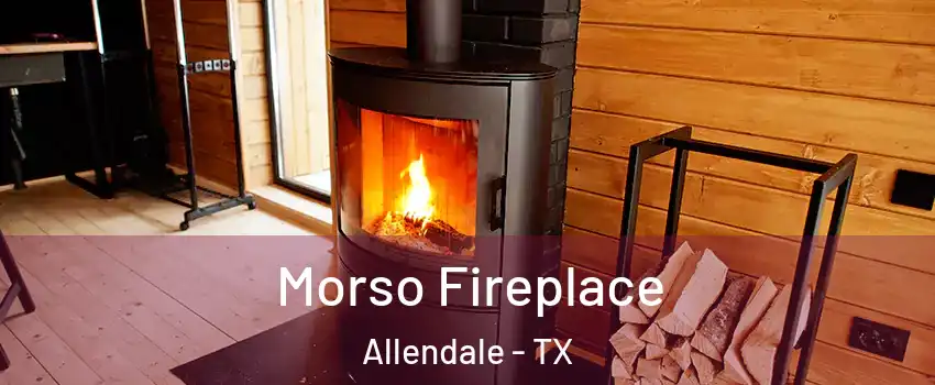 Morso Fireplace Allendale - TX