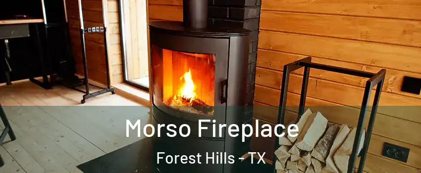 Morso Fireplace Forest Hills - TX