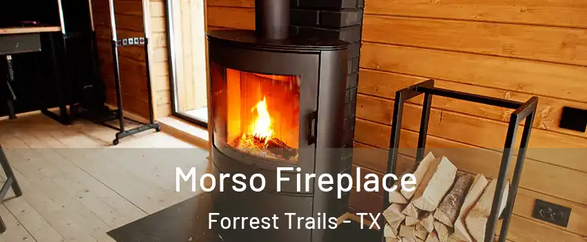 Morso Fireplace Forrest Trails - TX