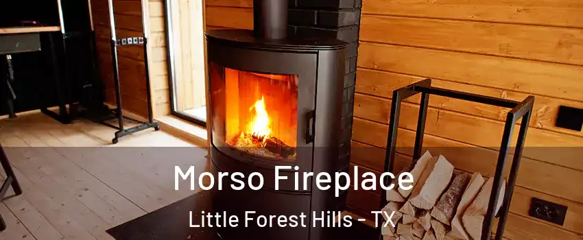 Morso Fireplace Little Forest Hills - TX