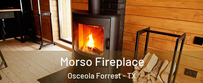 Morso Fireplace Osceola Forrest - TX