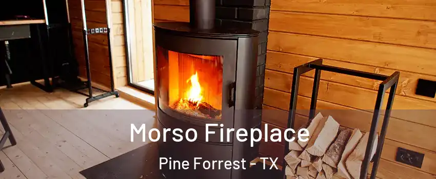 Morso Fireplace Pine Forrest - TX