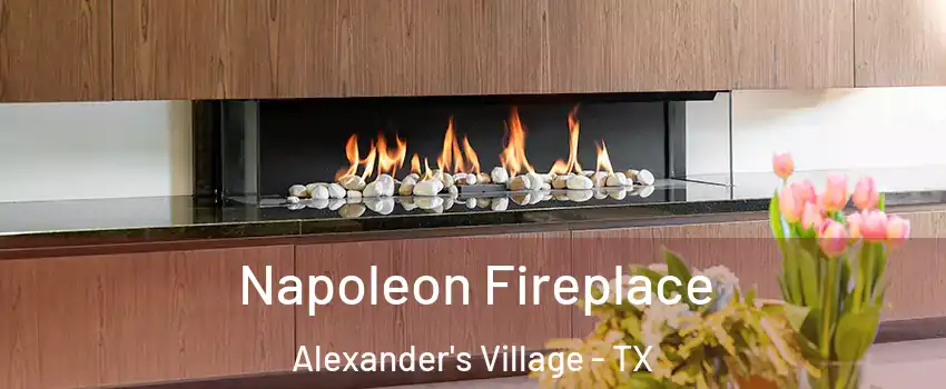 Napoleon Fireplace Alexander's Village - TX