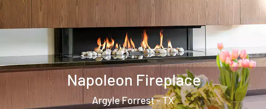 Napoleon Fireplace Argyle Forrest - TX