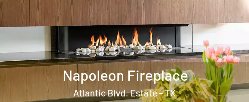 Napoleon Fireplace Atlantic Blvd. Estate - TX