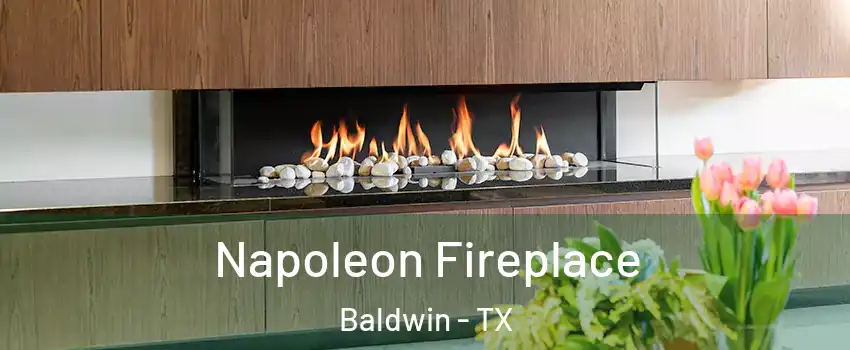 Napoleon Fireplace Baldwin - TX