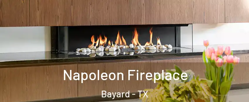 Napoleon Fireplace Bayard - TX
