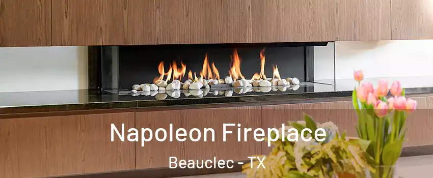Napoleon Fireplace Beauclec - TX