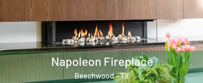 Napoleon Fireplace Beechwood - TX