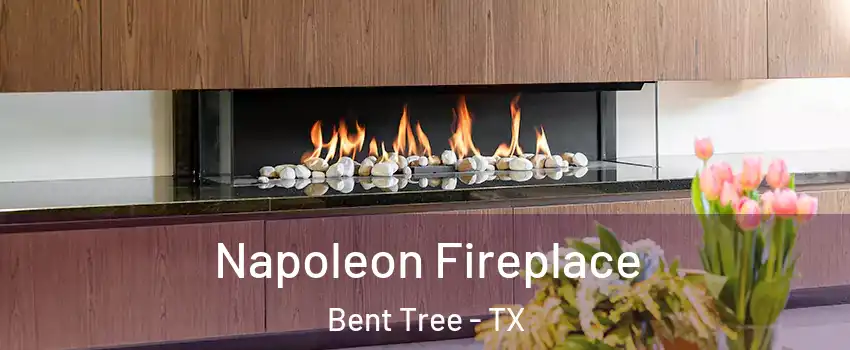 Napoleon Fireplace Bent Tree - TX