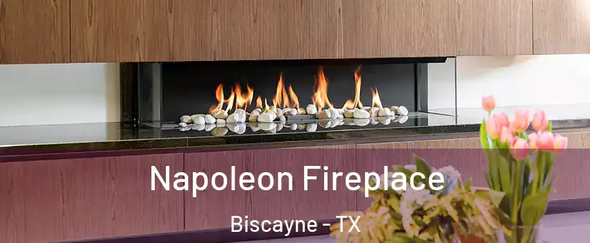 Napoleon Fireplace Biscayne - TX