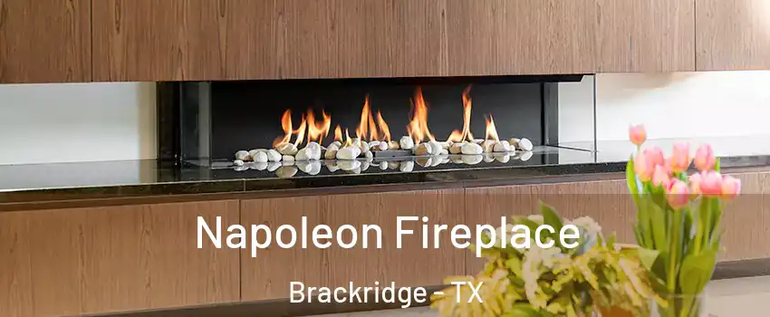 Napoleon Fireplace Brackridge - TX