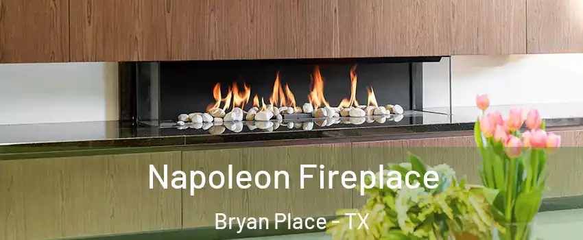 Napoleon Fireplace Bryan Place - TX