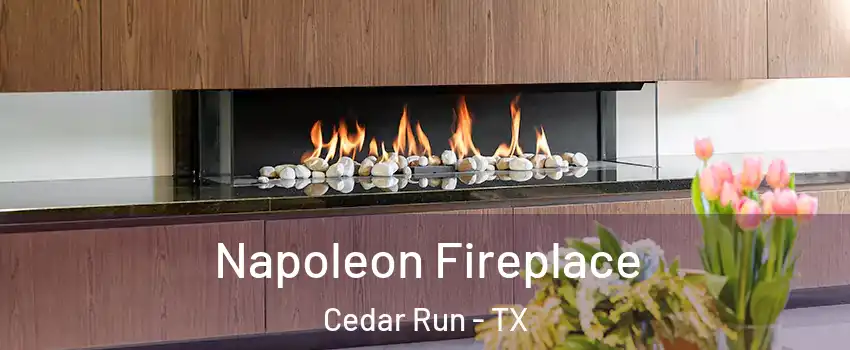 Napoleon Fireplace Cedar Run - TX