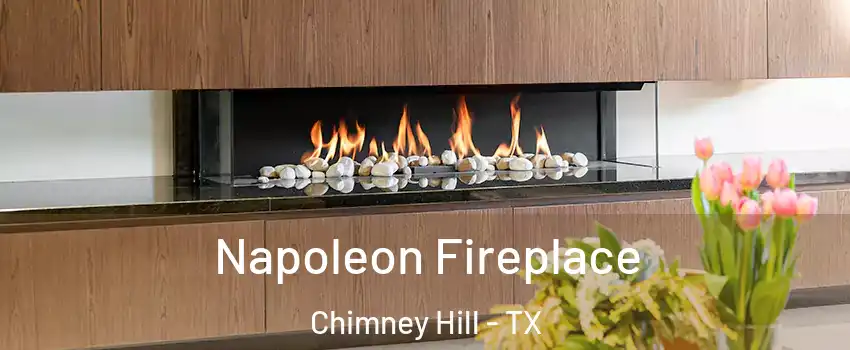 Napoleon Fireplace Chimney Hill - TX