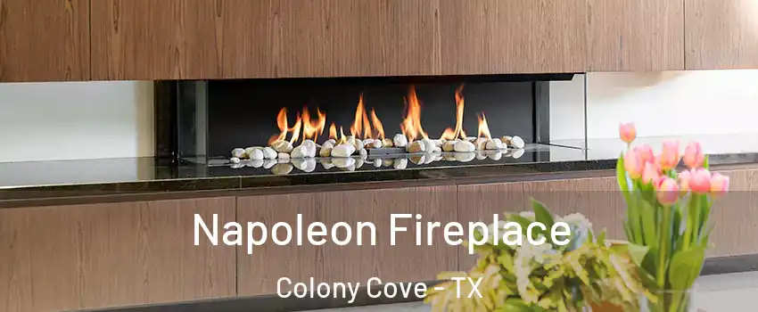 Napoleon Fireplace Colony Cove - TX